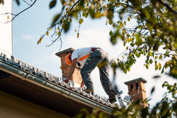 Sealant for Roof in Ellerslie, GA